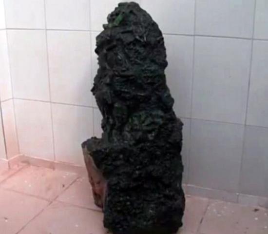 59553_vi3t_5635.jpg