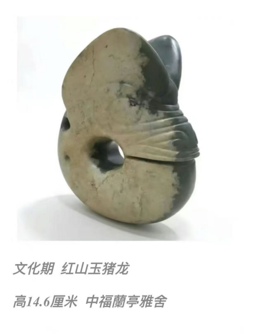 49231_vyab_5107.png